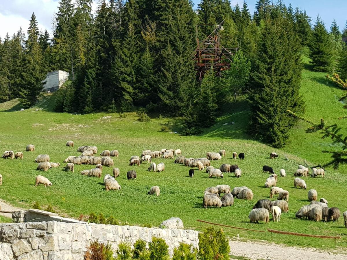 Enjoy The Silence Holiday Home Vlašić Eksteriør billede